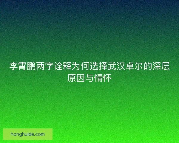 李霄鹏两字诠释为何选择武汉卓尔的深层原因与情怀