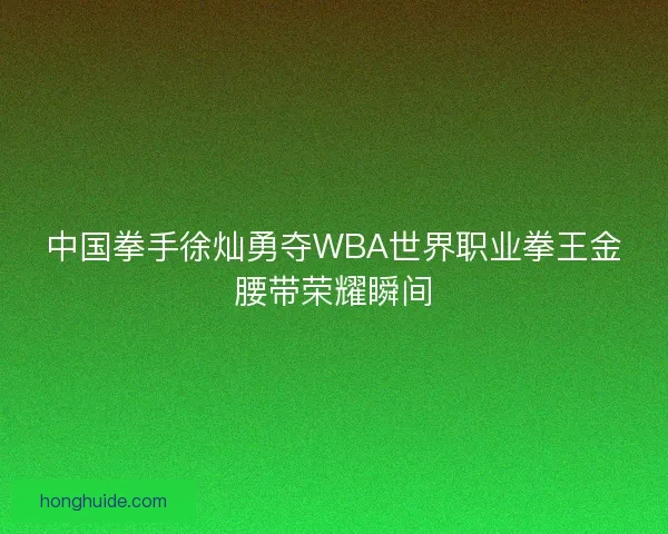 中国拳手徐灿勇夺WBA世界职业拳王金腰带荣耀瞬间 中国拳手徐灿勇夺WBA世界职业拳王金腰带荣耀瞬间